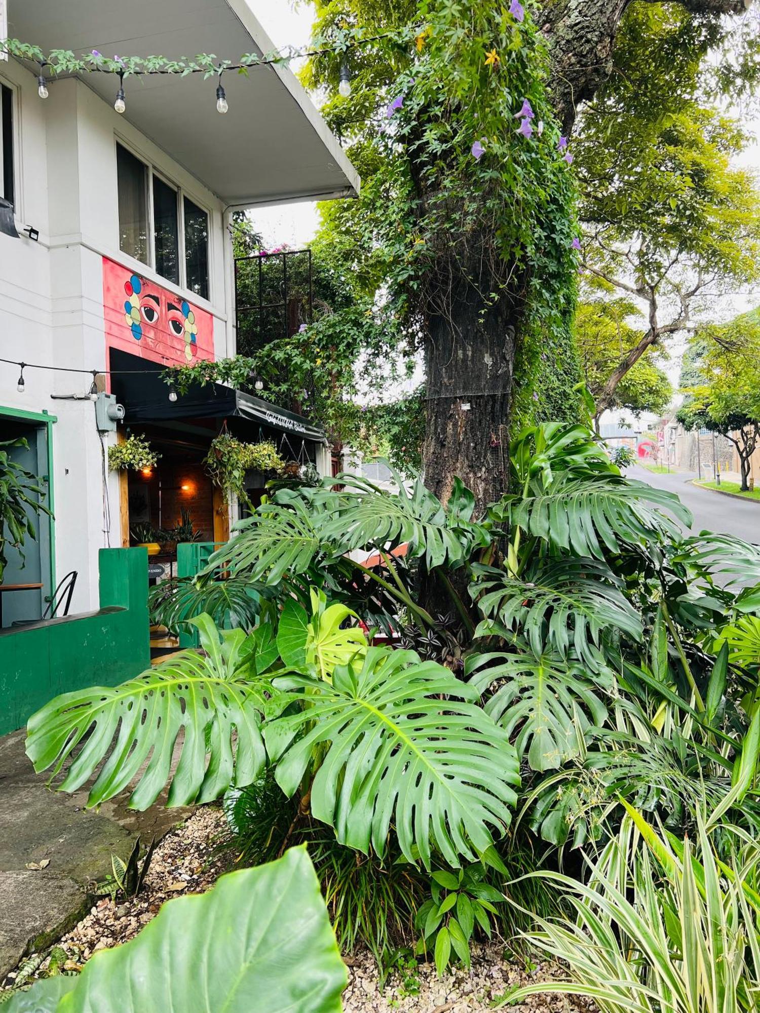 Otoya 1907 Hotel (Adults Only) San José Kültér fotó